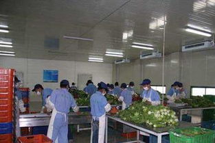 圖 廣州蔬菜配送食材配送工廠食堂承包同城飲食服務(wù)公司 廣州生活配送