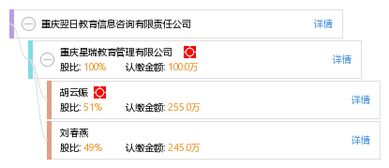 重慶翌日教育信息咨詢有限責任公司 專業教育信息咨詢服務的引領者