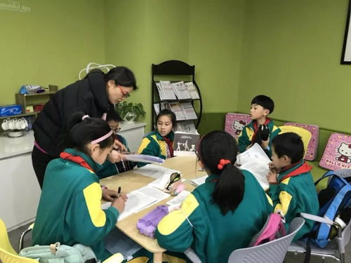 河南教育改革新信號 寒暑假或面臨調整，教師心聲待關注